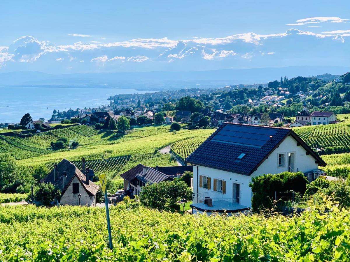 #Lavaux Hotel Lutry Luaran gambar