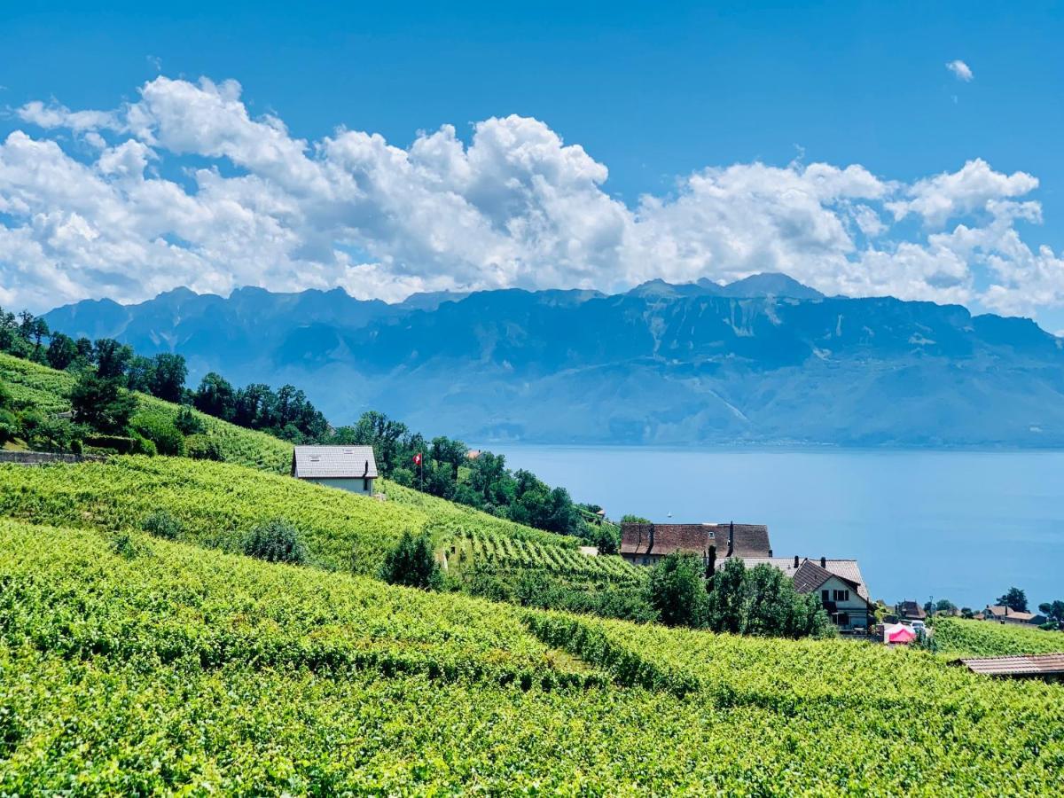 #Lavaux Hotel Lutry Luaran gambar