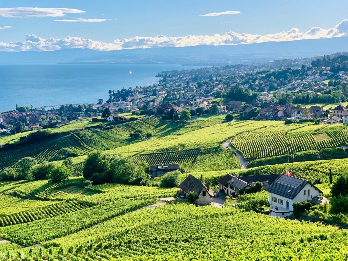 #Lavaux Hotel Lutry Luaran gambar