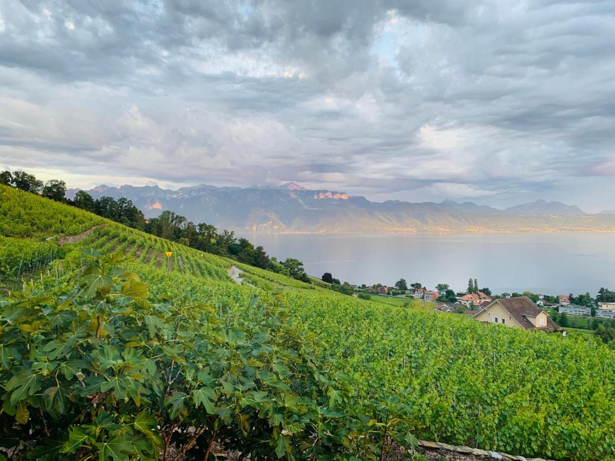 #Lavaux Hotel Lutry Luaran gambar