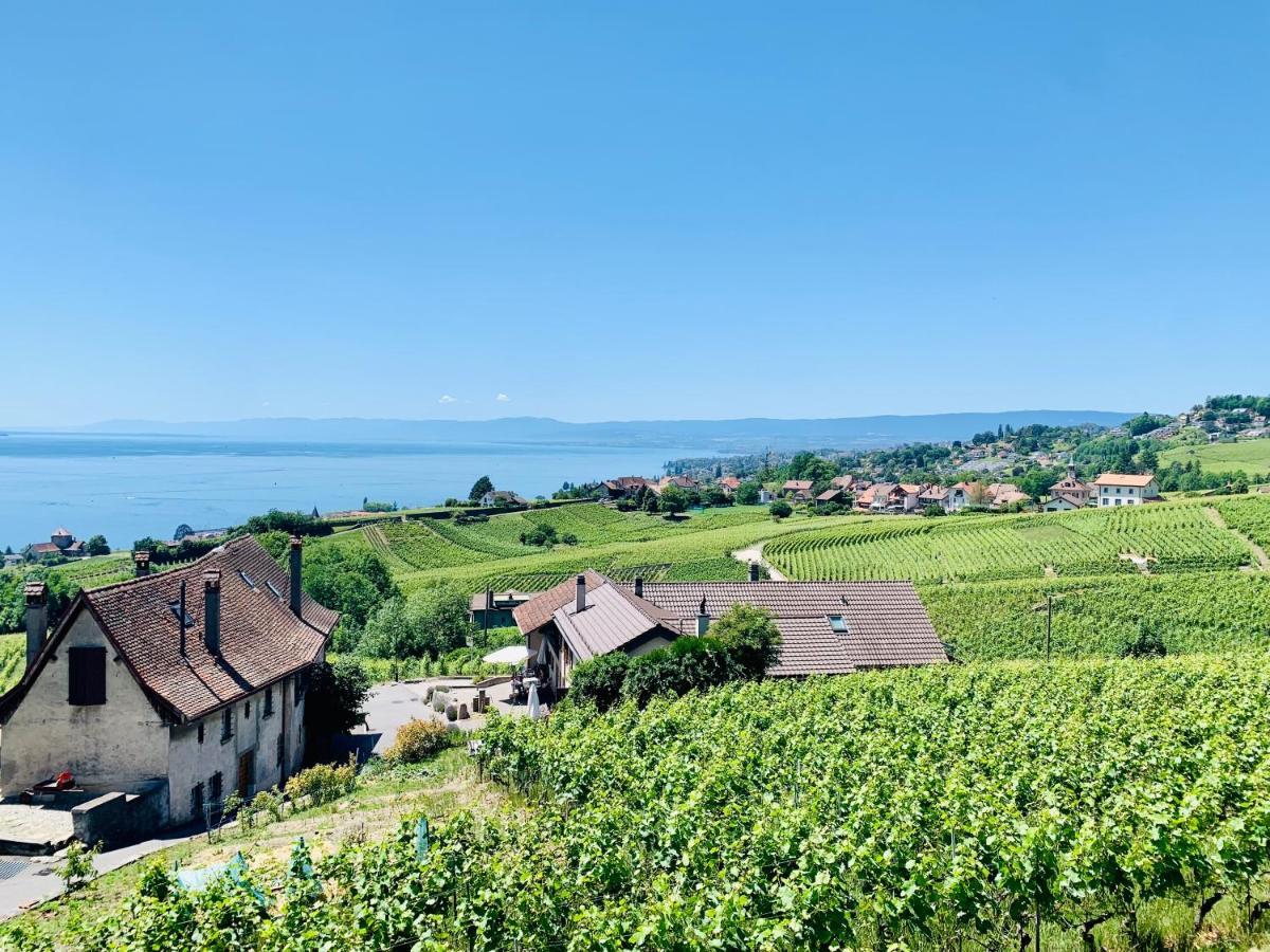 #Lavaux Hotel Lutry Luaran gambar
