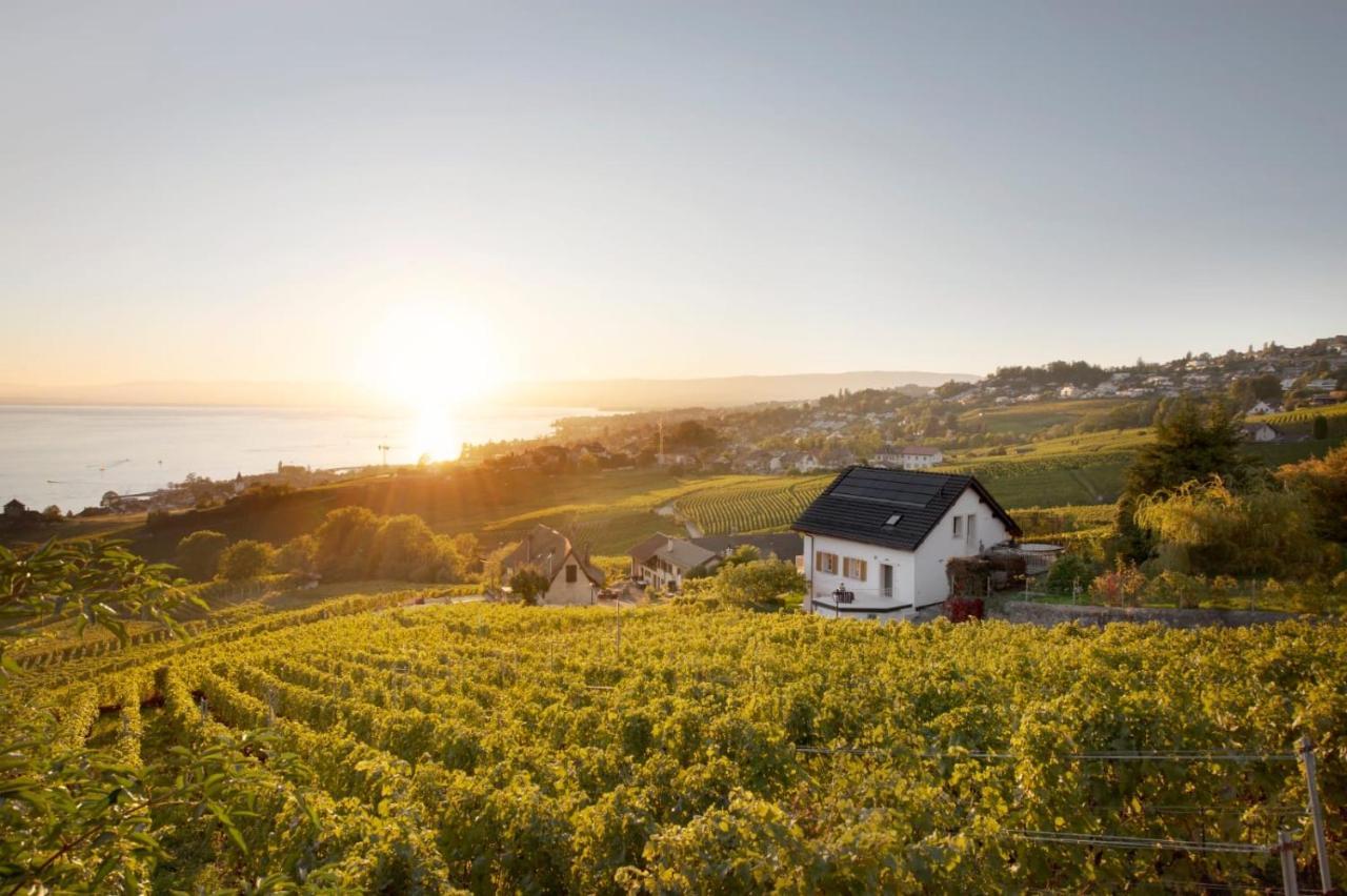 #Lavaux Hotel Lutry Luaran gambar